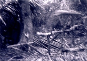 象肉を干すために使った台のあと;当日の大雨のため写真はぼけている©西原智昭